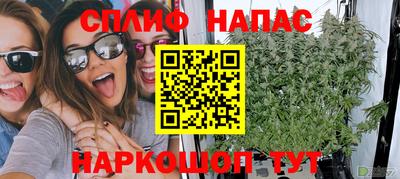 PSILOCYBIN Малгобек